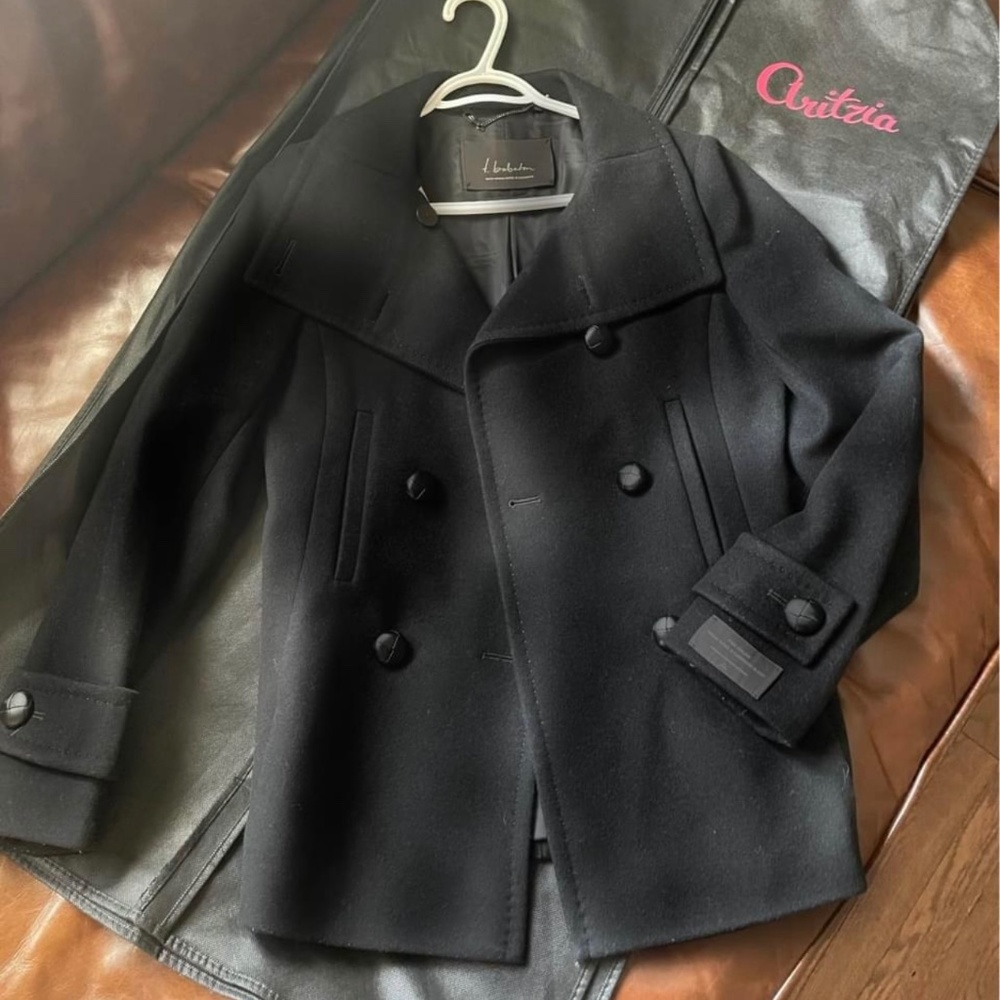 Aritzia babton coat